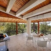 Platres Forest Panorama