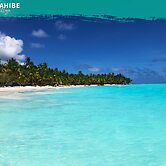 Tribe Inn & Rooftop Lounge