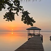 Los Olingos Lodge - Bird Paradise