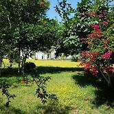 Saint Francis Bed & Breakfast