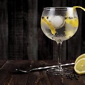 Roomshala 096 Hotel Elite 29