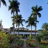 Mango Tree Courtyard Dehradun