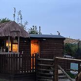 Cute and Cosy Shepard hut With Wood Fuel hot tub