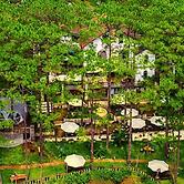 De Vivre Homestay Măng Đen