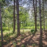 Wadena Vacation Rental ~ 1 Mi to Downtown!