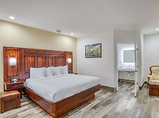 room.images[0].caption