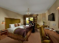 room.images[0].caption