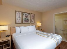 room.images[0].caption