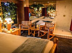 room.images[0].caption