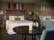 room.images[0].caption