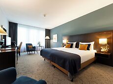 room.images[0].caption