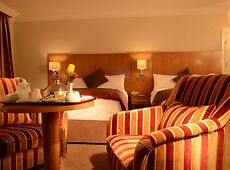 room.images[0].caption