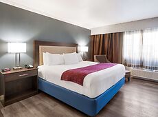 room.images[0].caption