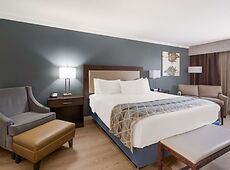 room.images[0].caption