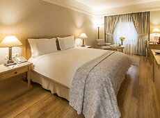 room.images[0].caption