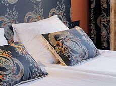 room.images[0].caption