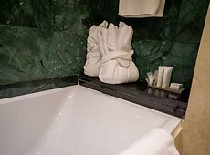 room.images[0].caption