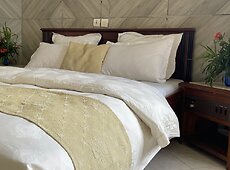 room.images[0].caption