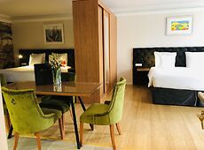 room.images[0].caption