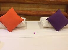 room.images[0].caption