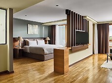 room.images[0].caption