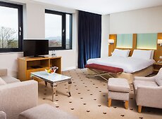 room.images[0].caption