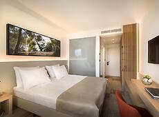 room.images[0].caption