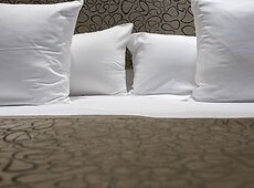 room.images[0].caption