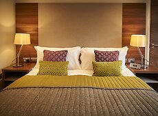 room.images[0].caption