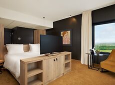 room.images[0].caption
