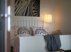 room.images[0].caption