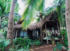 room.images[0].caption