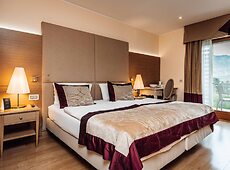 room.images[0].caption