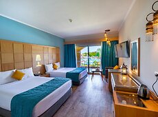 room.images[0].caption