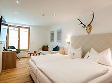 room.images[0].caption