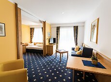 room.images[0].caption