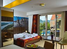 room.images[0].caption