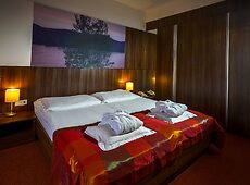 room.images[0].caption