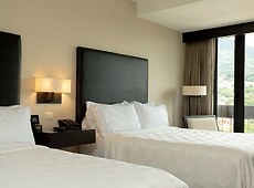 room.images[0].caption