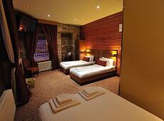 room.images[0].caption