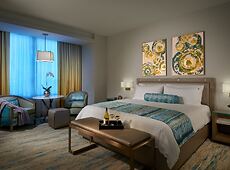 room.images[0].caption