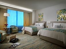 room.images[0].caption