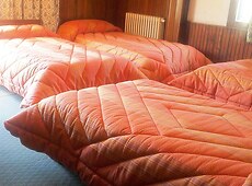 room.images[0].caption