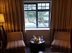 room.images[0].caption