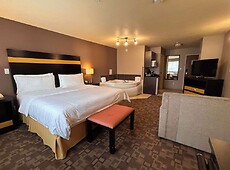 room.images[0].caption