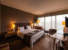 room.images[0].caption