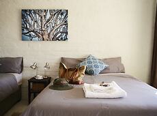 room.images[0].caption