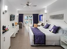 room.images[0].caption