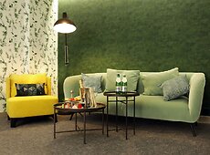 room.images[0].caption