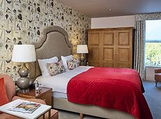 room.images[0].caption